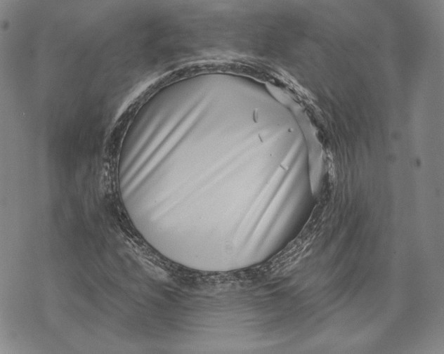 X0000072501208200608041432