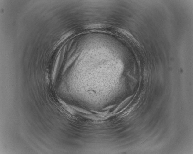 X0000072501209200608041432