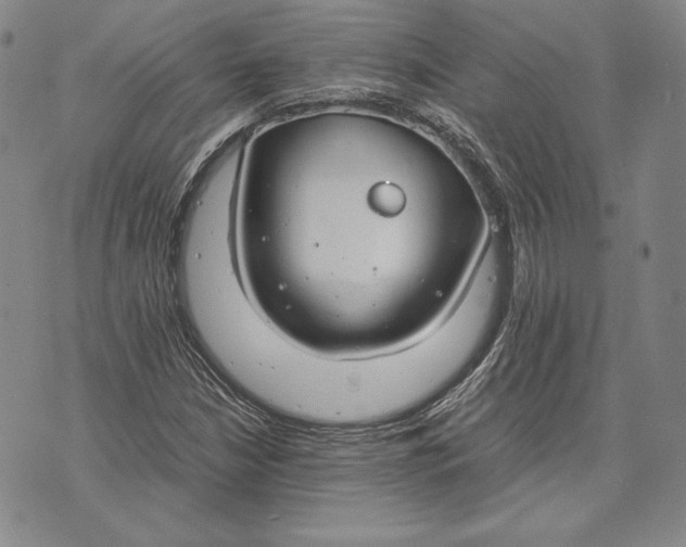 X0000072501210200608041433