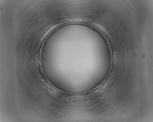 X0000072501212200608041433