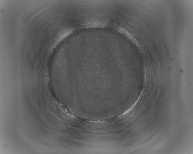 X0000072501213200608041433