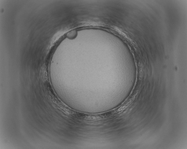 X0000072501215200608041433