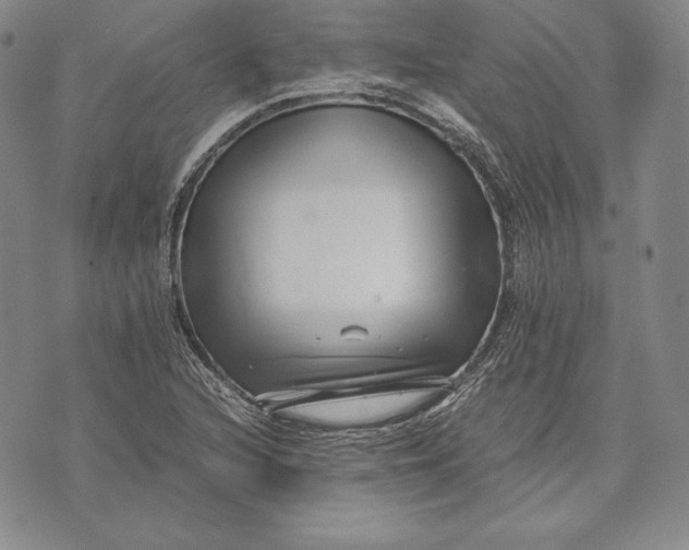 X0000072501216200608041433