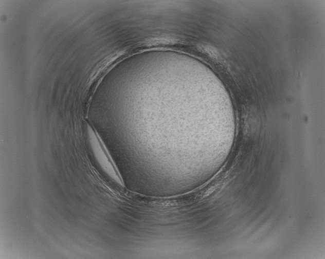 X0000072501217200608041433