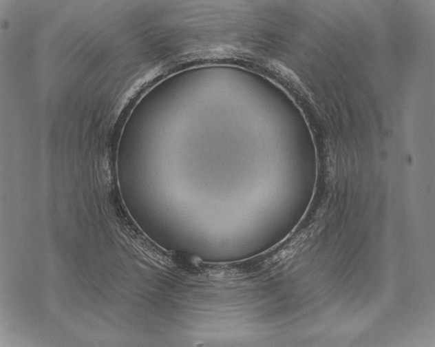 X0000072501218200608041433