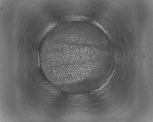 X0000072501219200608041433