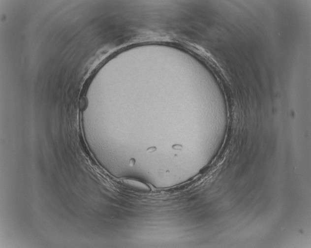 X0000072501220200608041433