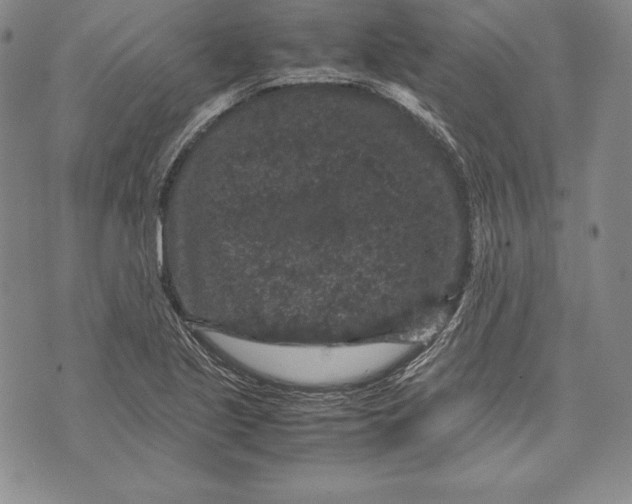 X0000072501221200608041433