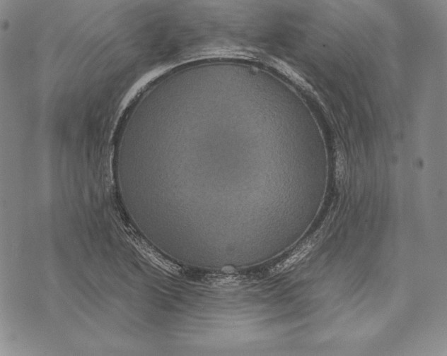 X0000072501222200608041433