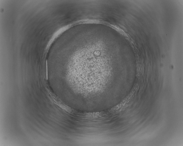 X0000072501223200608041433