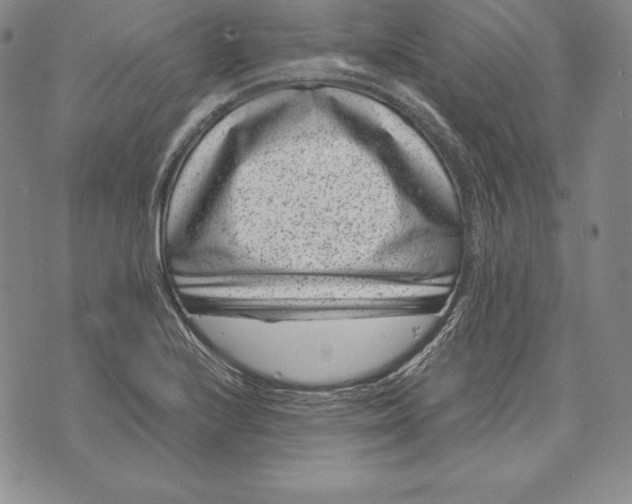 X0000072501224200608041433