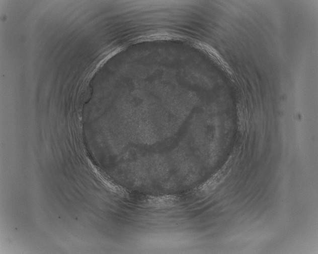 X0000072501225200608041433