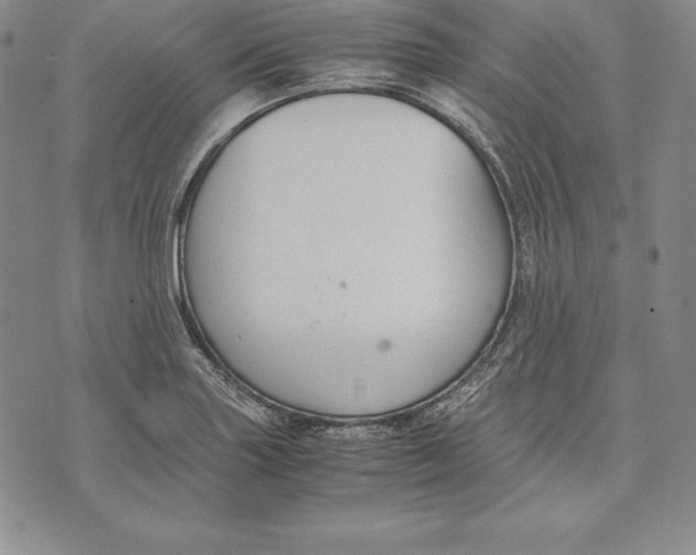 X0000072501227200608041433