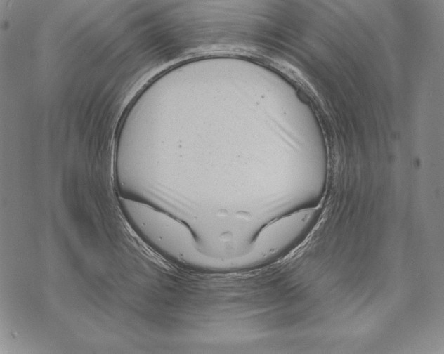 X0000072501228200608041433