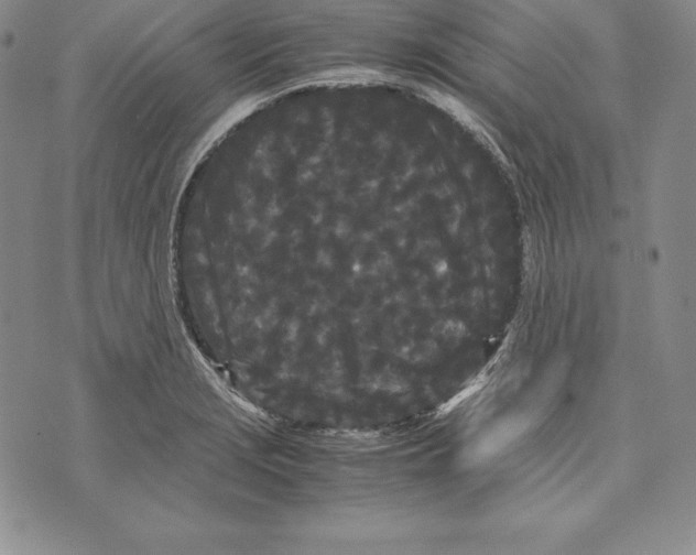 X0000072501229200608041433