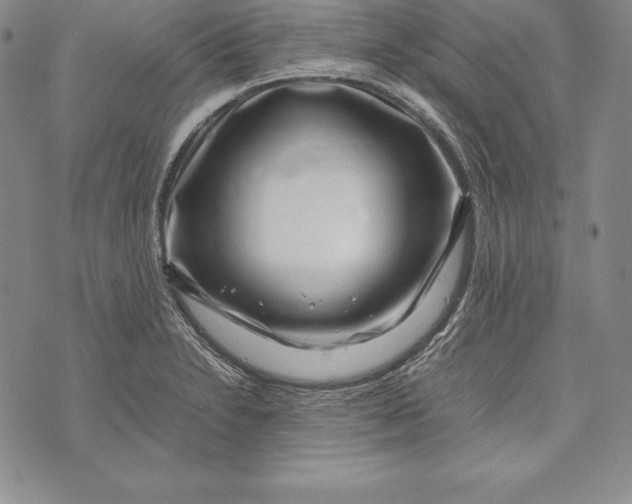 X0000072501230200608041433