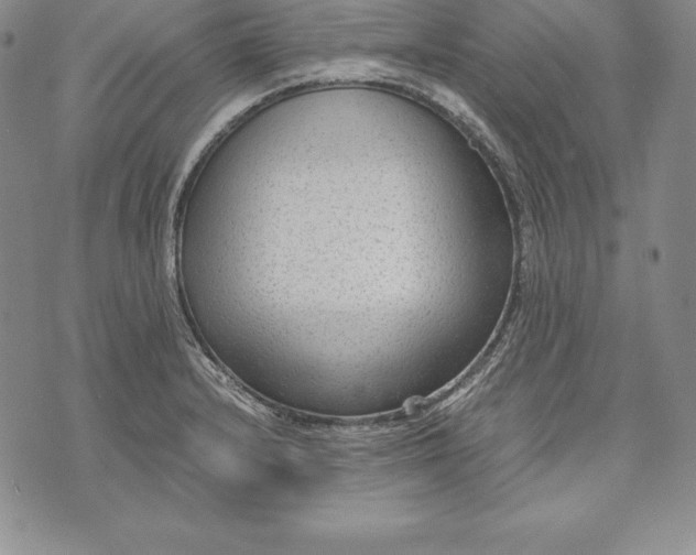 X0000072501232200608041433