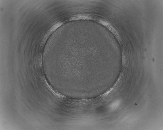 X0000072501233200608041433