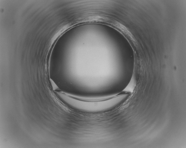 X0000072501234200608041433