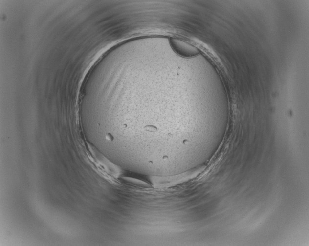 X0000072501236200608041433