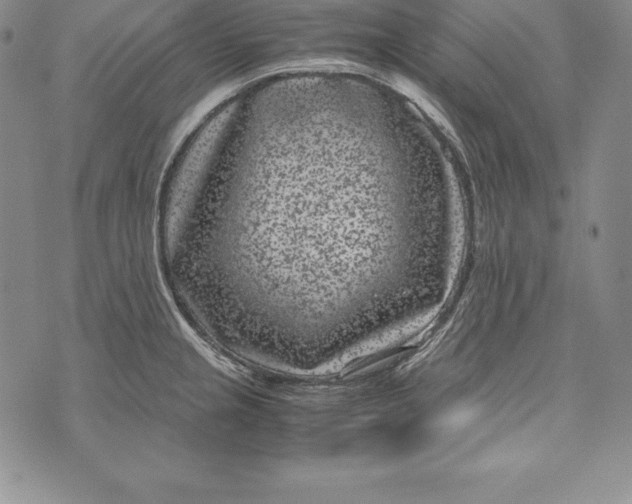 X0000072501237200608041433