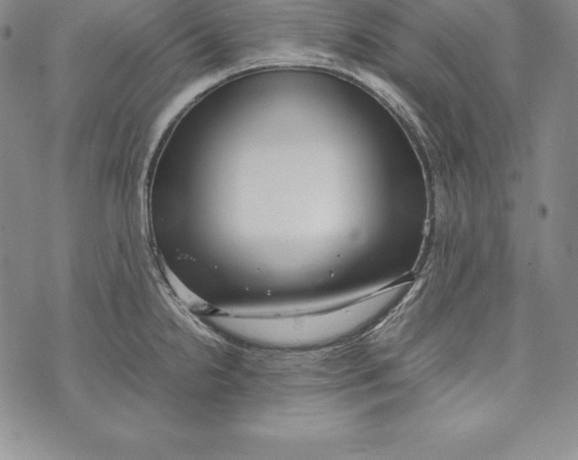 X0000072501238200608041433