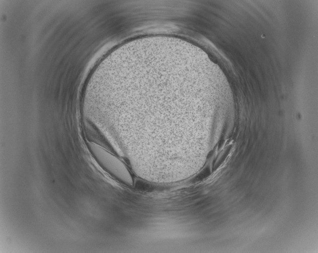 X0000072501240200608041433