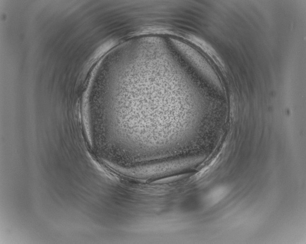 X0000072501241200608041433