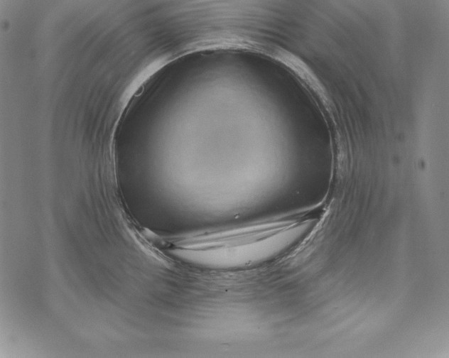 X0000072501242200608041433