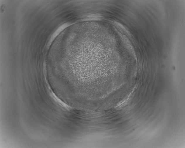 X0000072501243200608041433