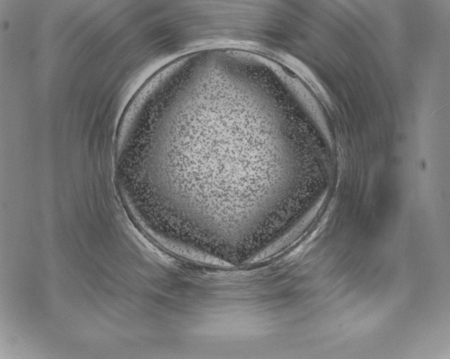 X0000072501244200608041433