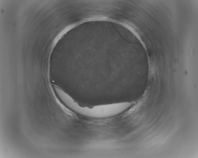 X0000072501245200608041433