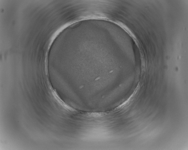 X0000072501246200608041433