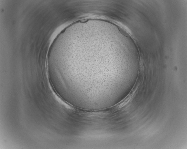 X0000072501247200608041433