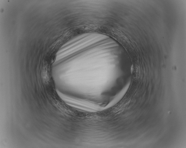 X0000072501250200608041432