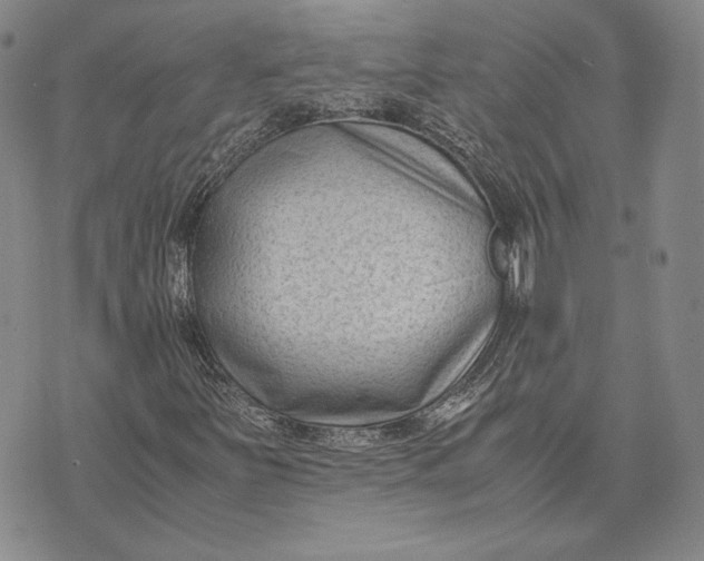 X0000072501251200608041432