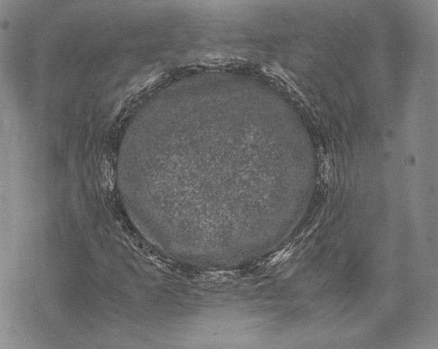 X0000072501253200608041432