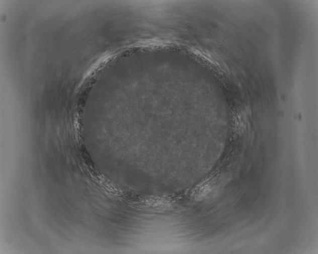 X0000072501254200608041432