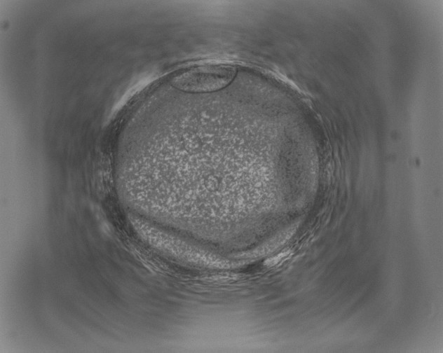 X0000072501255200608041432