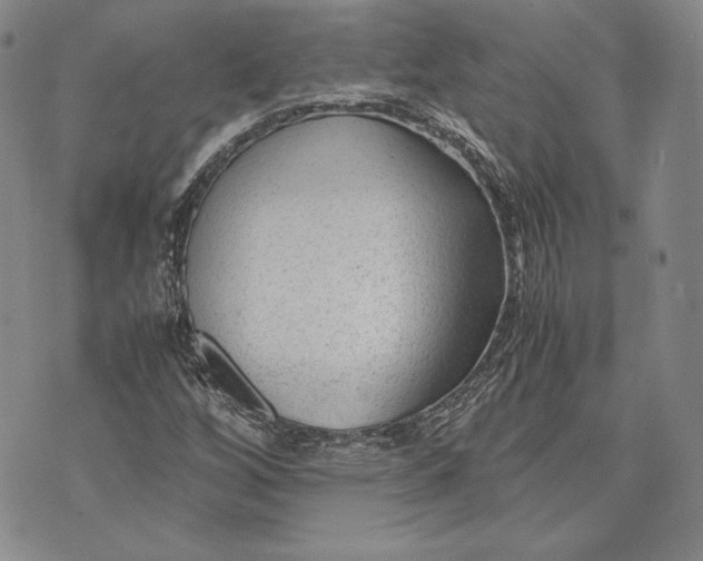 X0000072501256200608041432