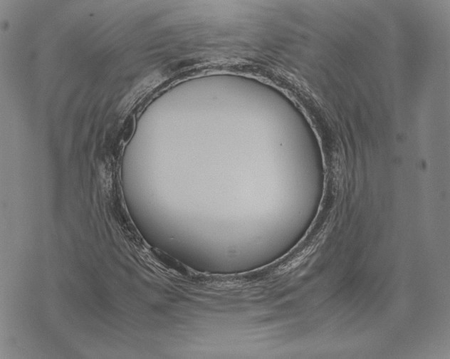 X0000072501257200608041432