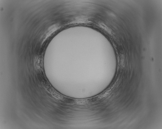 X0000072501258200608041432