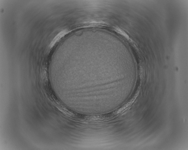 X0000072501259200608041432