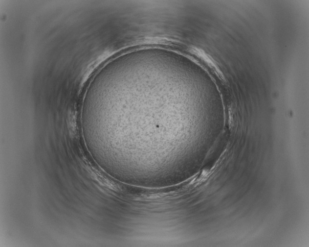 X0000072501260200608041432