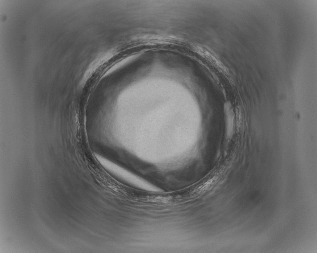 X0000072501261200608041432