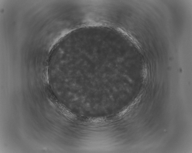 X0000072501262200608041432