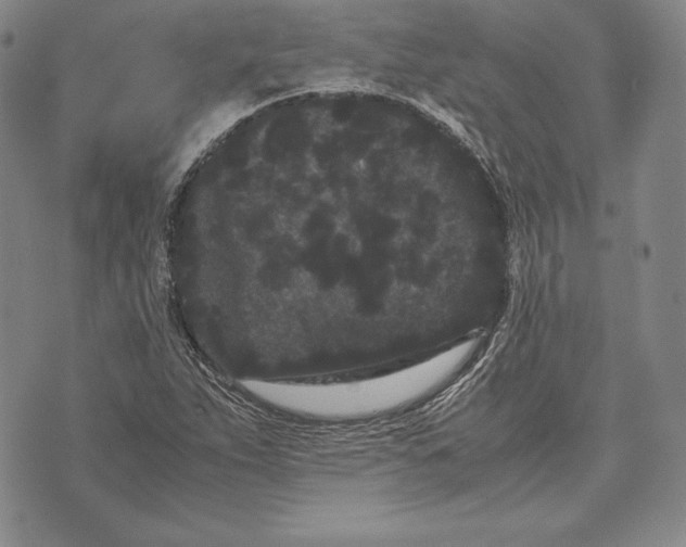 X0000072501263200608041432