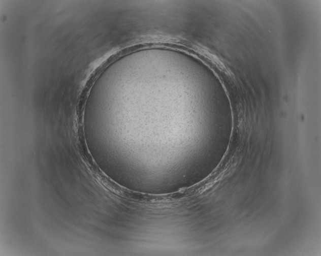 X0000072501264200608041432