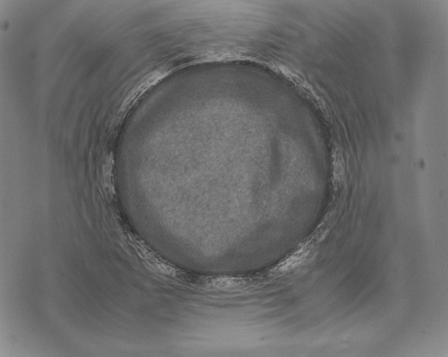 X0000072501265200608041432