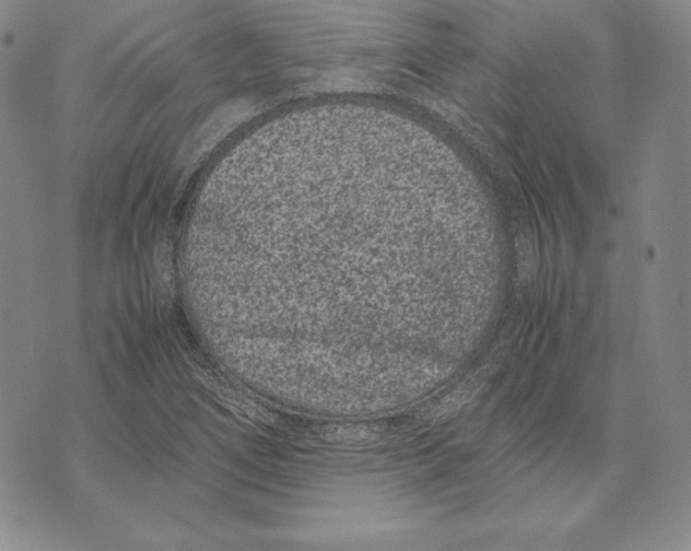 X0000072501266200608041432